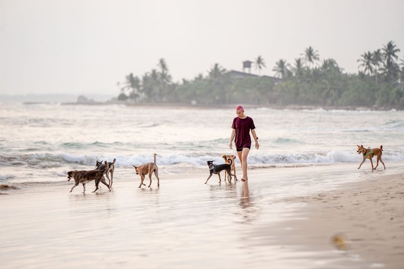 Coastal Walks